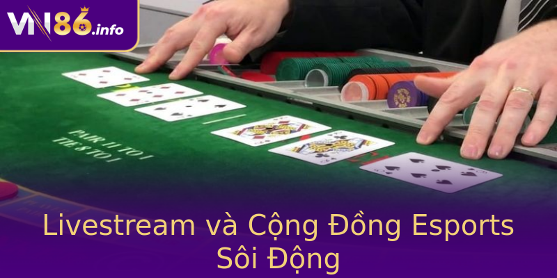 Livestream và Cộng Đồng Esports Sôi Động Livestream và Cộng Đồng Esports Sôi Động