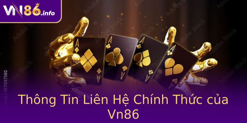 Thông Tin Liên Hệ Chính Thức của Vn86 Thông Tin Liên Hệ Chính Thức của Vn86