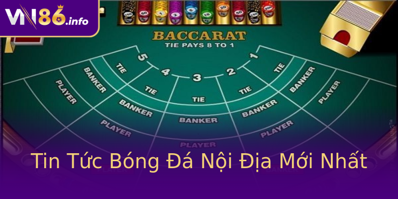 Tin Tức Bóng Đá Nội Địa Mới Nhất Tin Tức Bóng Đá Nội Địa Mới Nhất