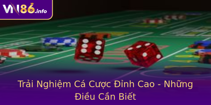 Trải Nghiệm Cá Cược Đỉnh Cao - Những Điều Cần Biết Trải Nghiệm Cá Cược Đỉnh Cao - Những Điều Cần Biết